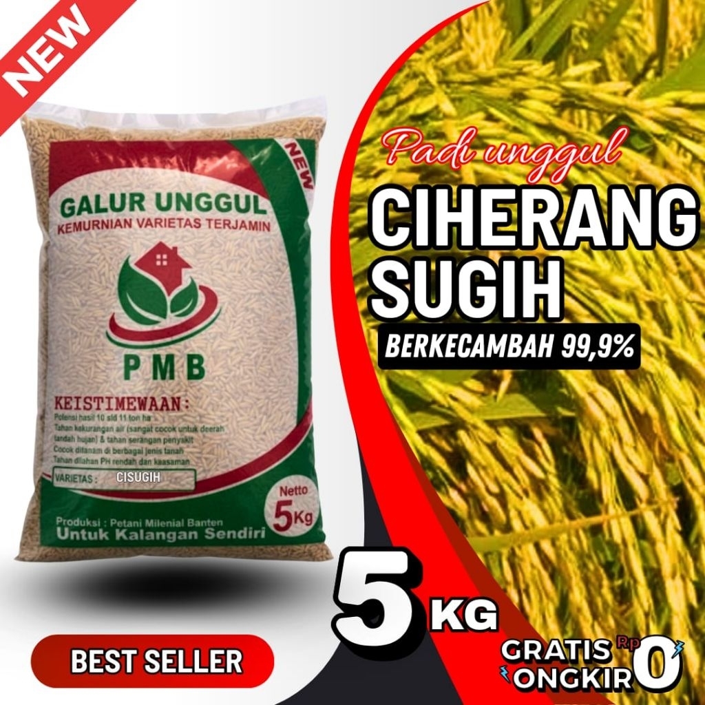 Benih/bibit padi unggul CIHERANG SUGIH 5kg original