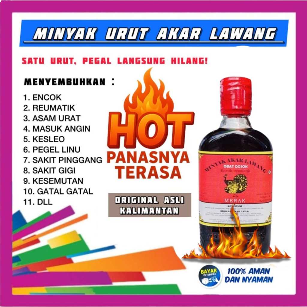 HOT Minyak Pijat Urut Akar Lawang ASLI Kalimantan Obat Gosok Pijat Pegel Linu Sakit Gigi Gatal Gatal