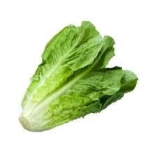 Selada Romaine segar dan berkualitas bandung 100 gram