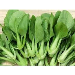 

Pakcoy segar dan berkualitas bandung