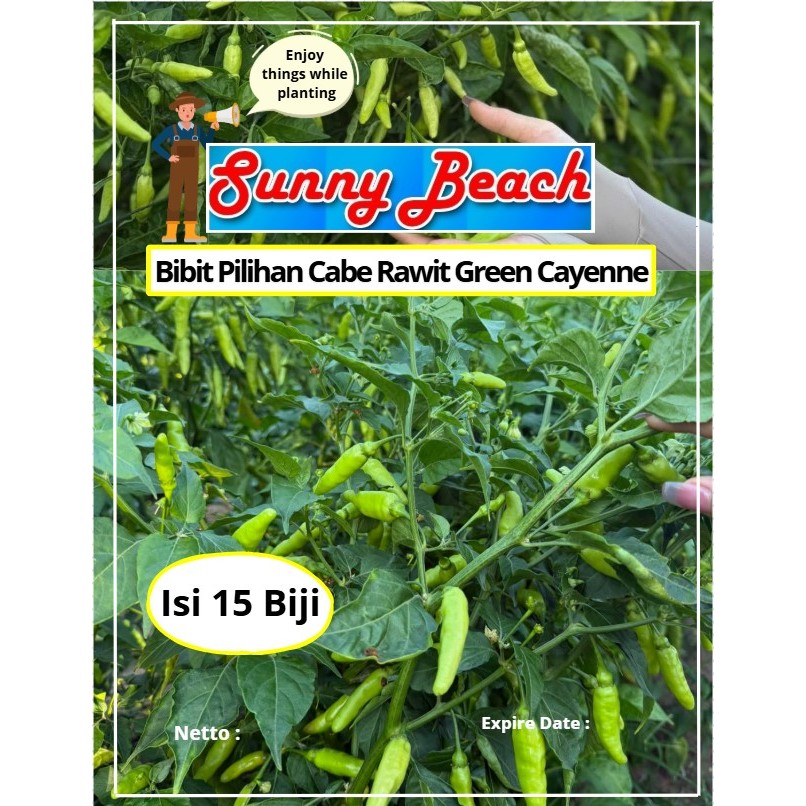 Bibit Pilihan Cabe Rawit Green Cayenne | Biji Benih Cabe Rawit Green Cayenne | Green Cayenne