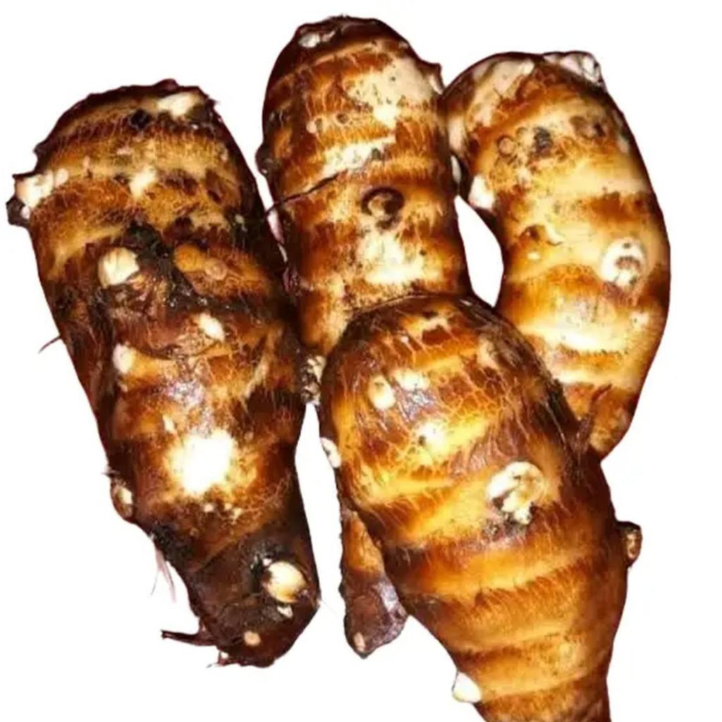 

Umbi Talas Lokal 1kg -Makanan pengganti Nasi dengan Nutrisi Tinggi