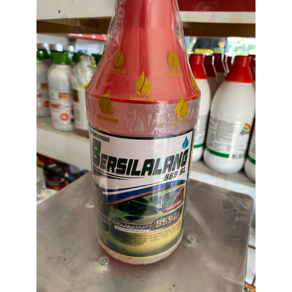Bersilalang 559 SL adalah herbisida sistemik
