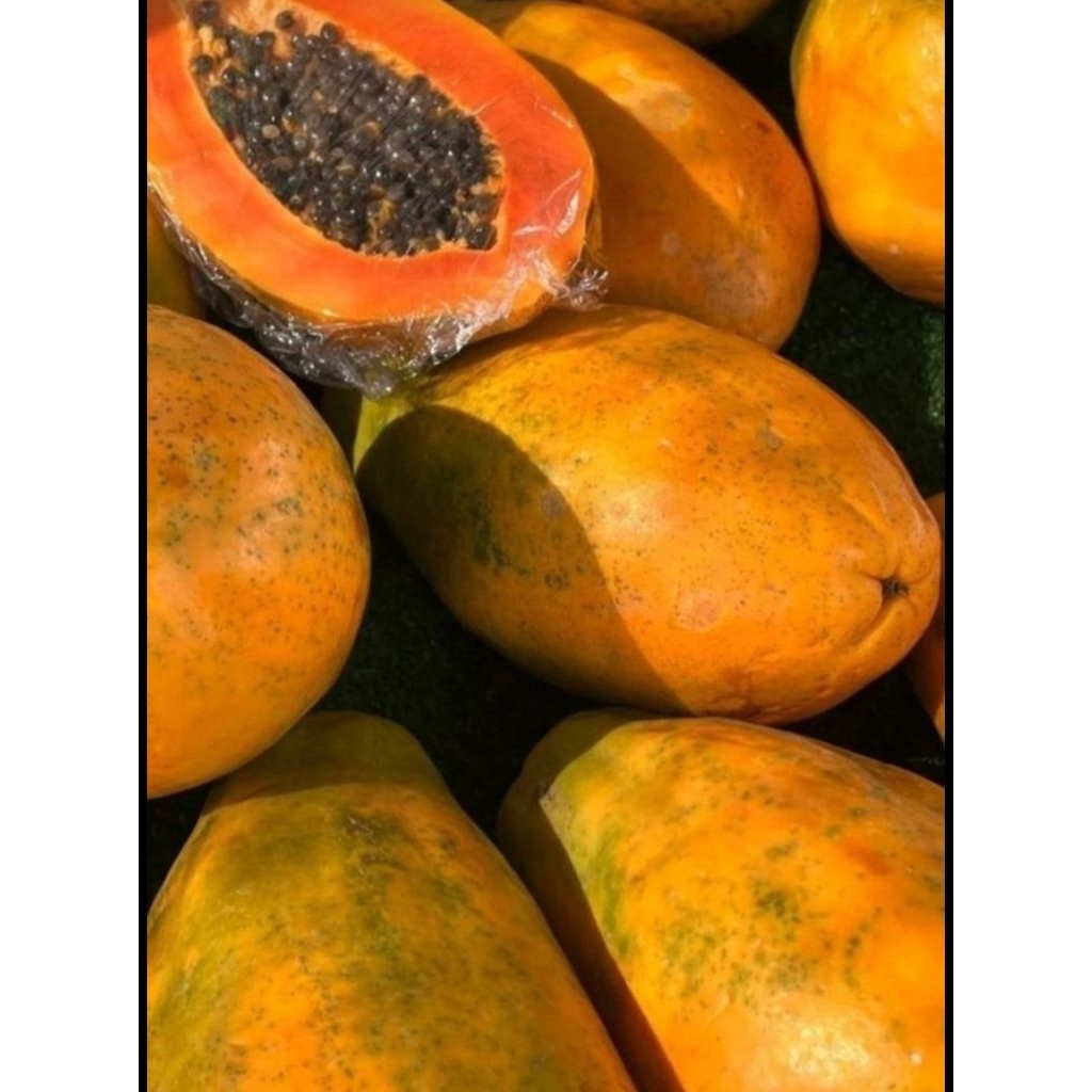 Pepaya super/buah pepaya/buah manis