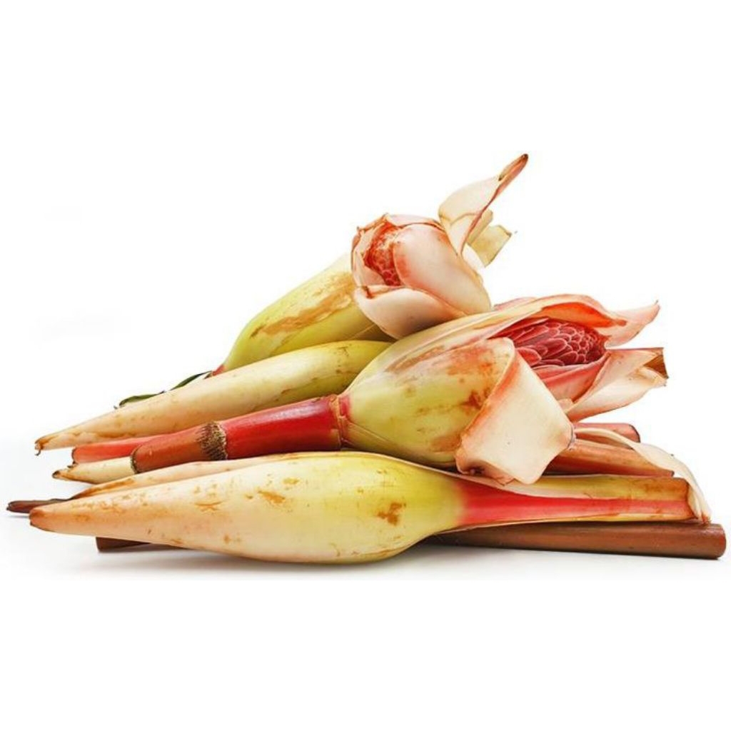 Bunga Kecombrang Segar pcs Penambah Rasa Makanan untuk Pengalaman Makan Lebih Nikmat Buah