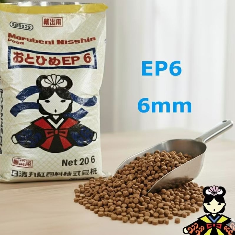 otohime ep6, pakan ikan protein tinggi