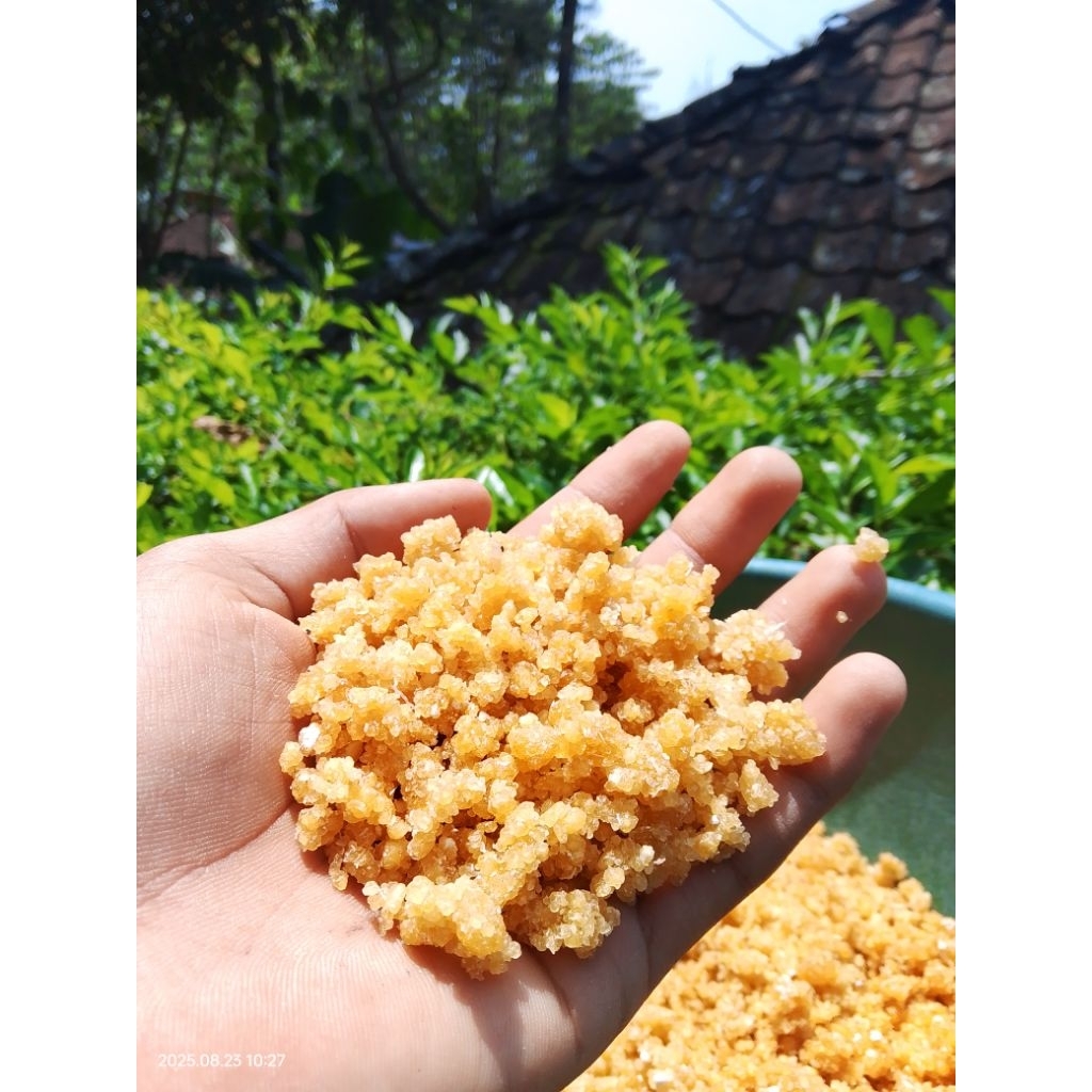 oyek singkong kering geong nasi tiwul 1kg