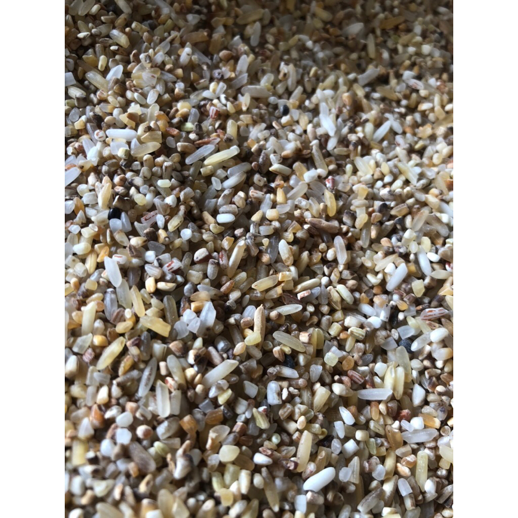 Beras menir beras batik pakan ternak pakan ayam pakan ternak