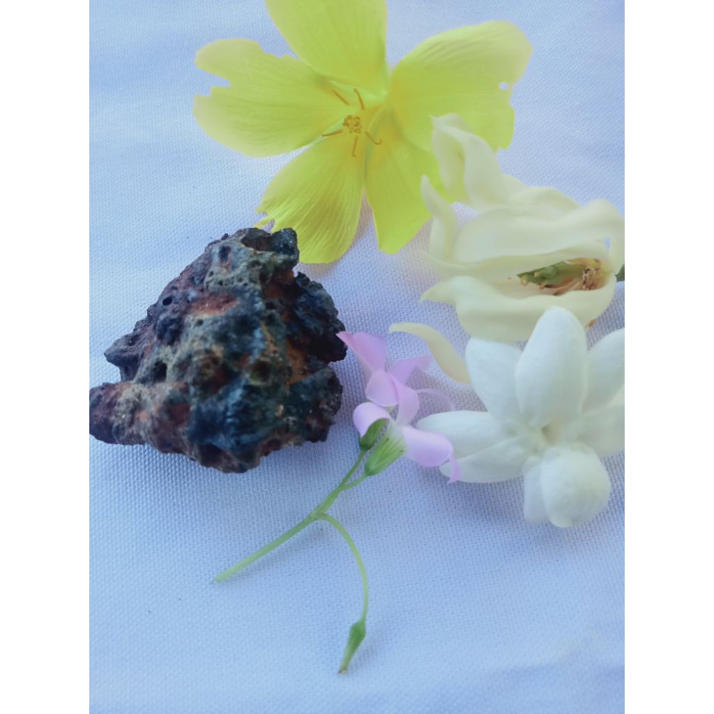 batu meteor langka asli