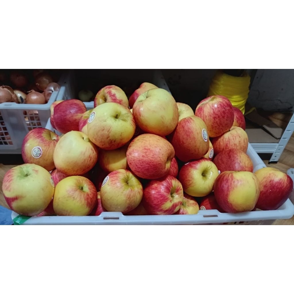 

Buah Apel Sultan Ambrosia