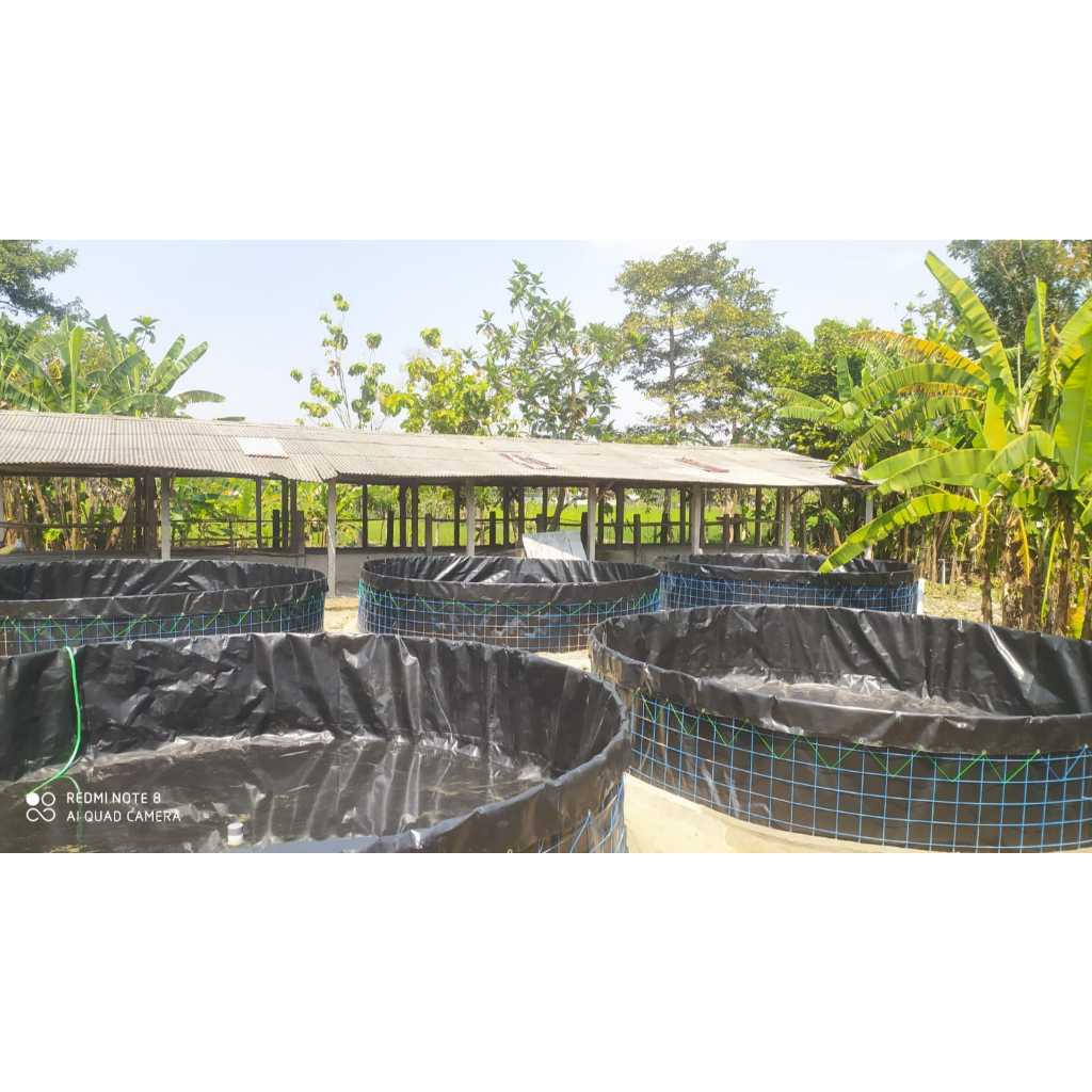 Kolam Bulat D6 T1,2 M HDPE 300 Micron Terpal Saja/Terpal Kolam/Terpal Budidaya/Terpal Bioflok