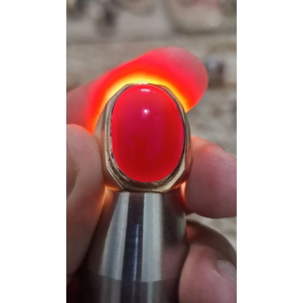 Batu Marjan Laut Merah