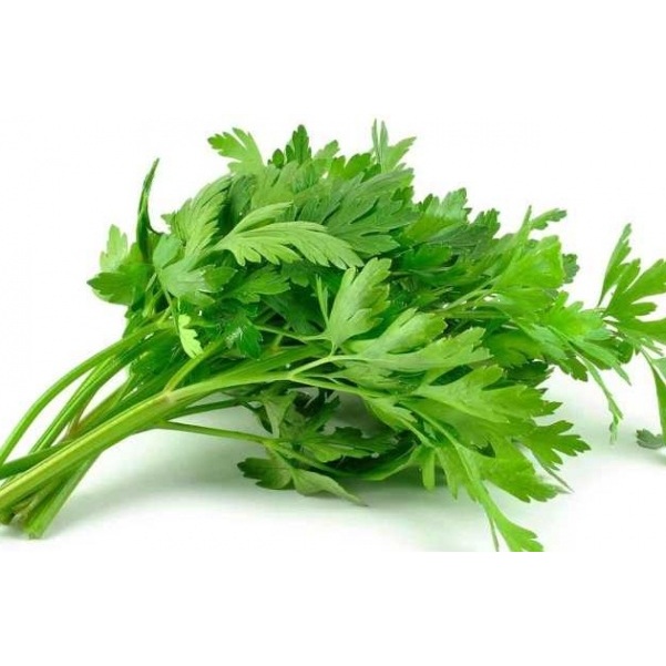 

Daun Seledri Segar 1 iket