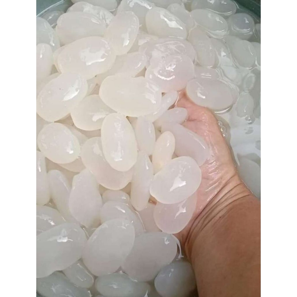 kolang kaling 1kg semarang (h+1)