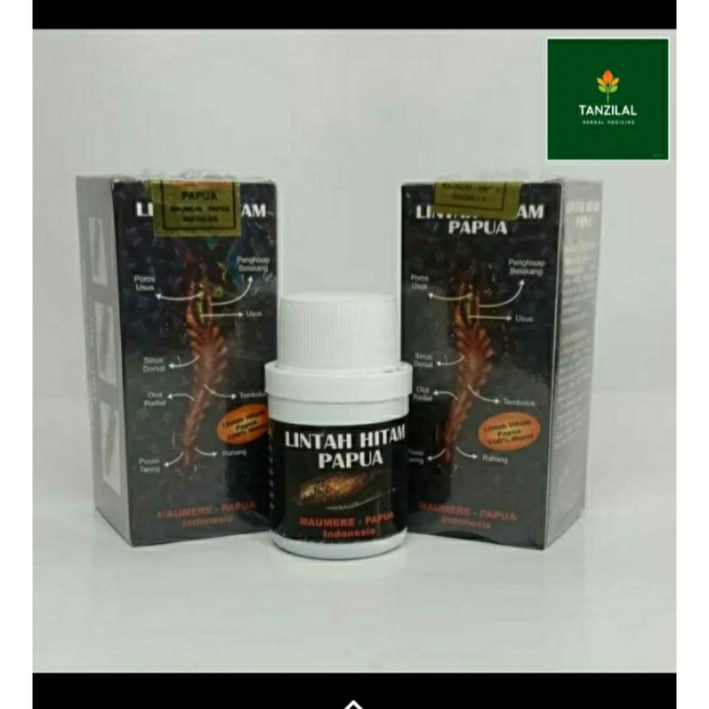 Minyak Lintah Hitam Papua Asli Murni 100%|pembesar|ORIGINAL TIMBUL|rotan keras