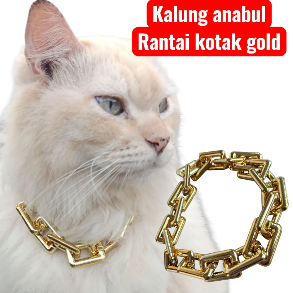 kalung kucing kalung anjing rantai kotak besar warna gold