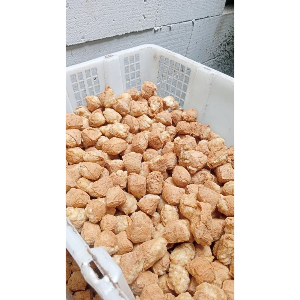 

chuanki Tahu kering isi (50 biji)