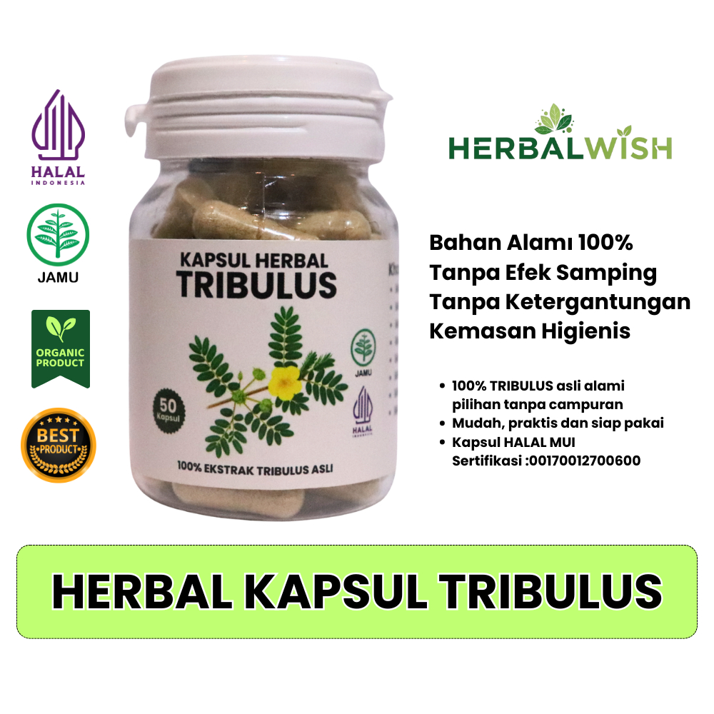 Herbal Kapsul TRIBULUS Asli 100% Alami isi 50 Kapsul