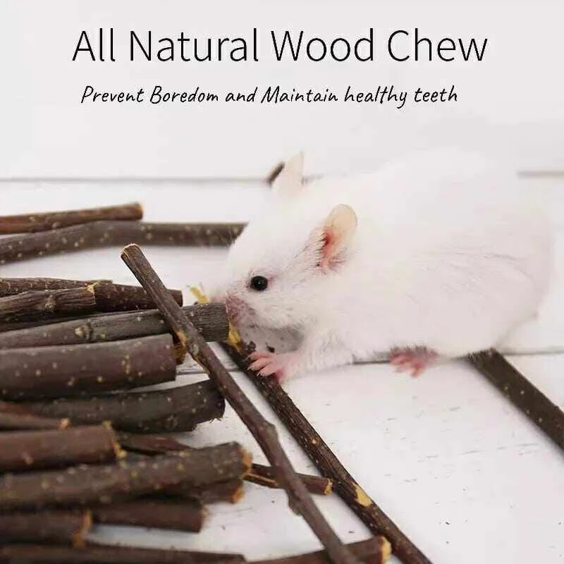 Mainan Hamster Stik Apel Sehat Mengasah Gigi Natural Apple Orchard Chew Stick gigitan hamster | appl