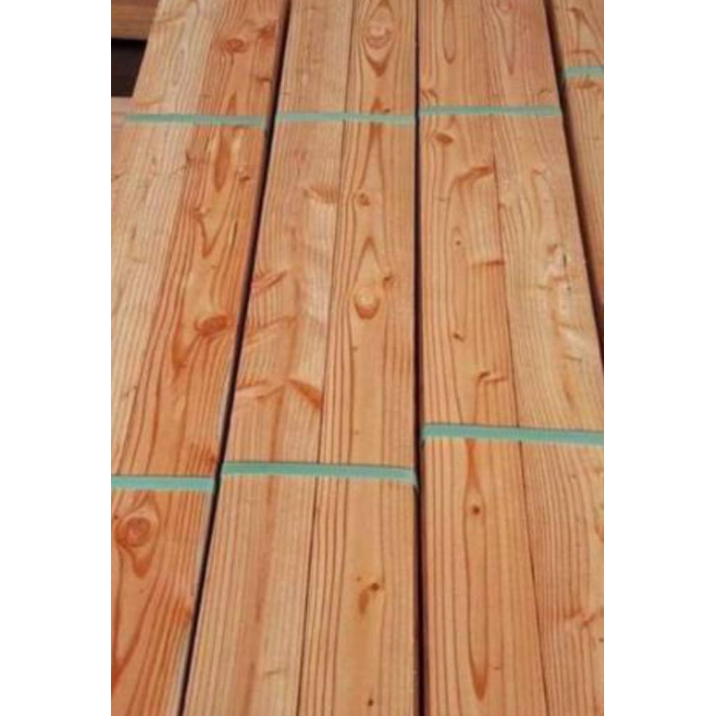 Kayu Pinus Jati Belanda
