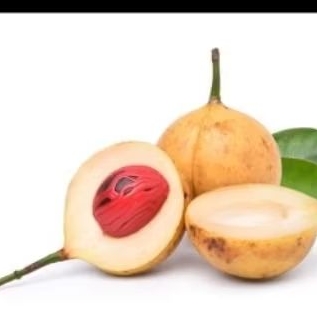 Buah pala  1 kg banyak manfaat