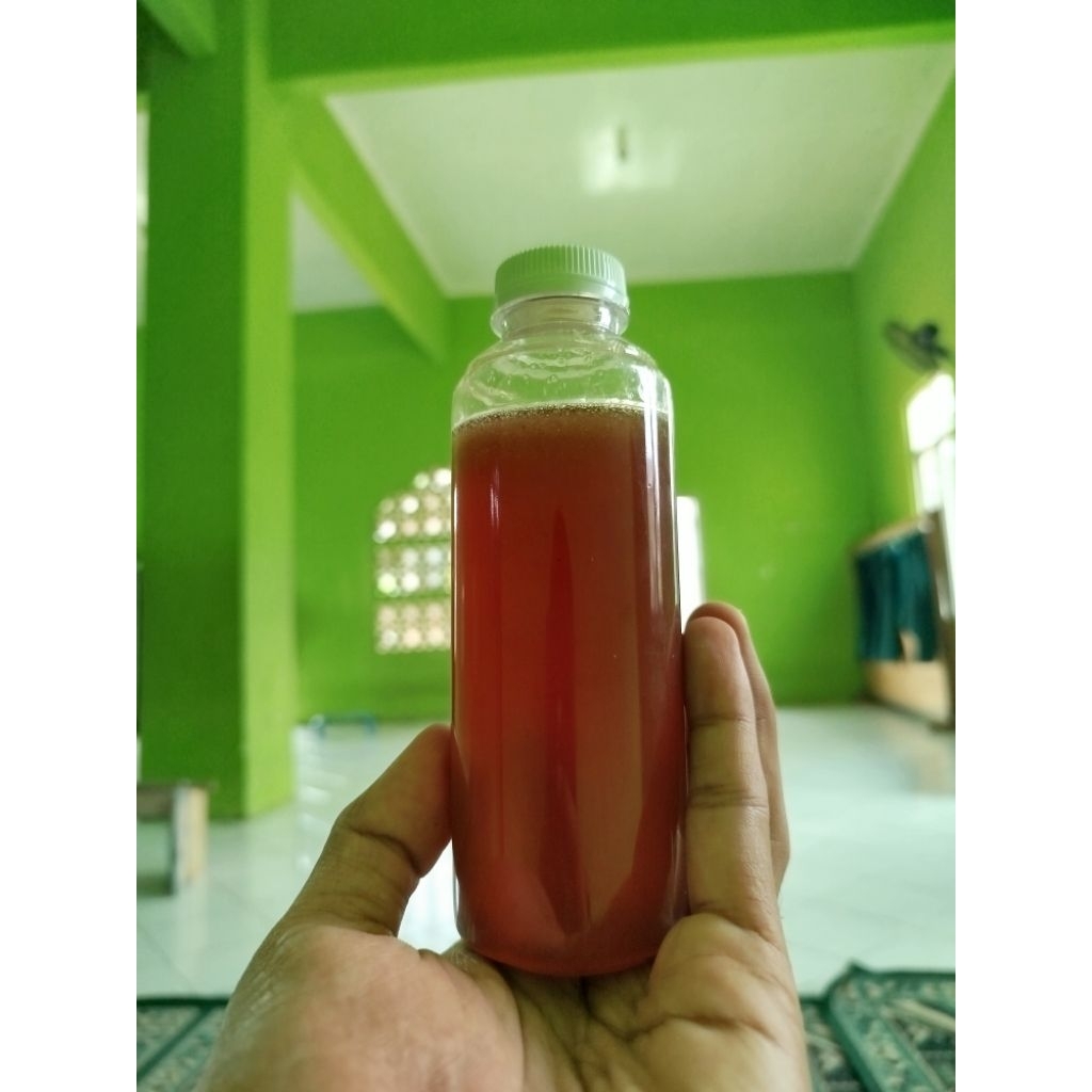 madu merah tawon gung