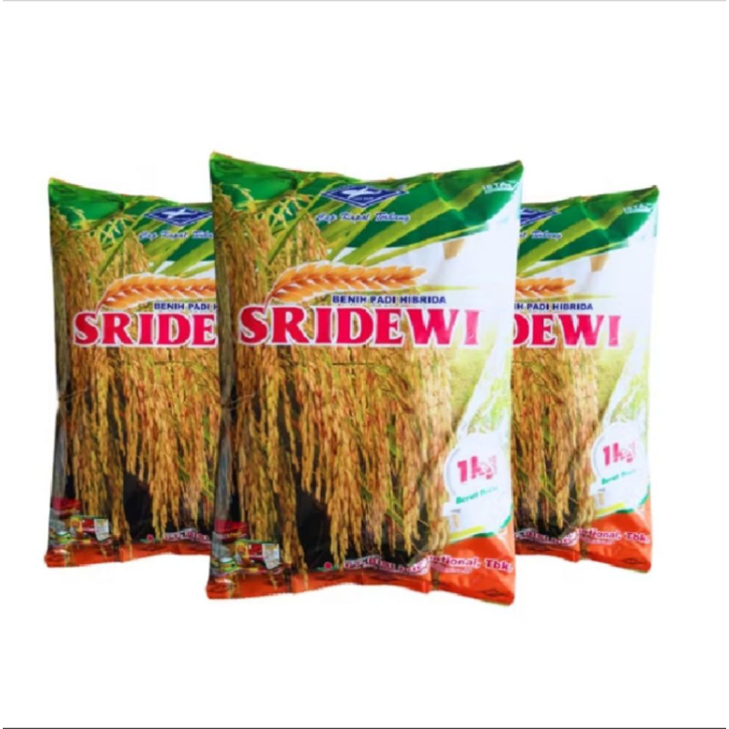 (5kg) Benih padi SRIDEWI varian terbaru original berkualitas