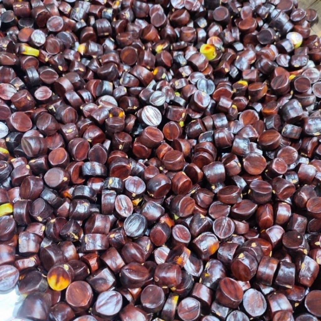 kabau/jaling/jolang jaling khas Lampung Sumsel