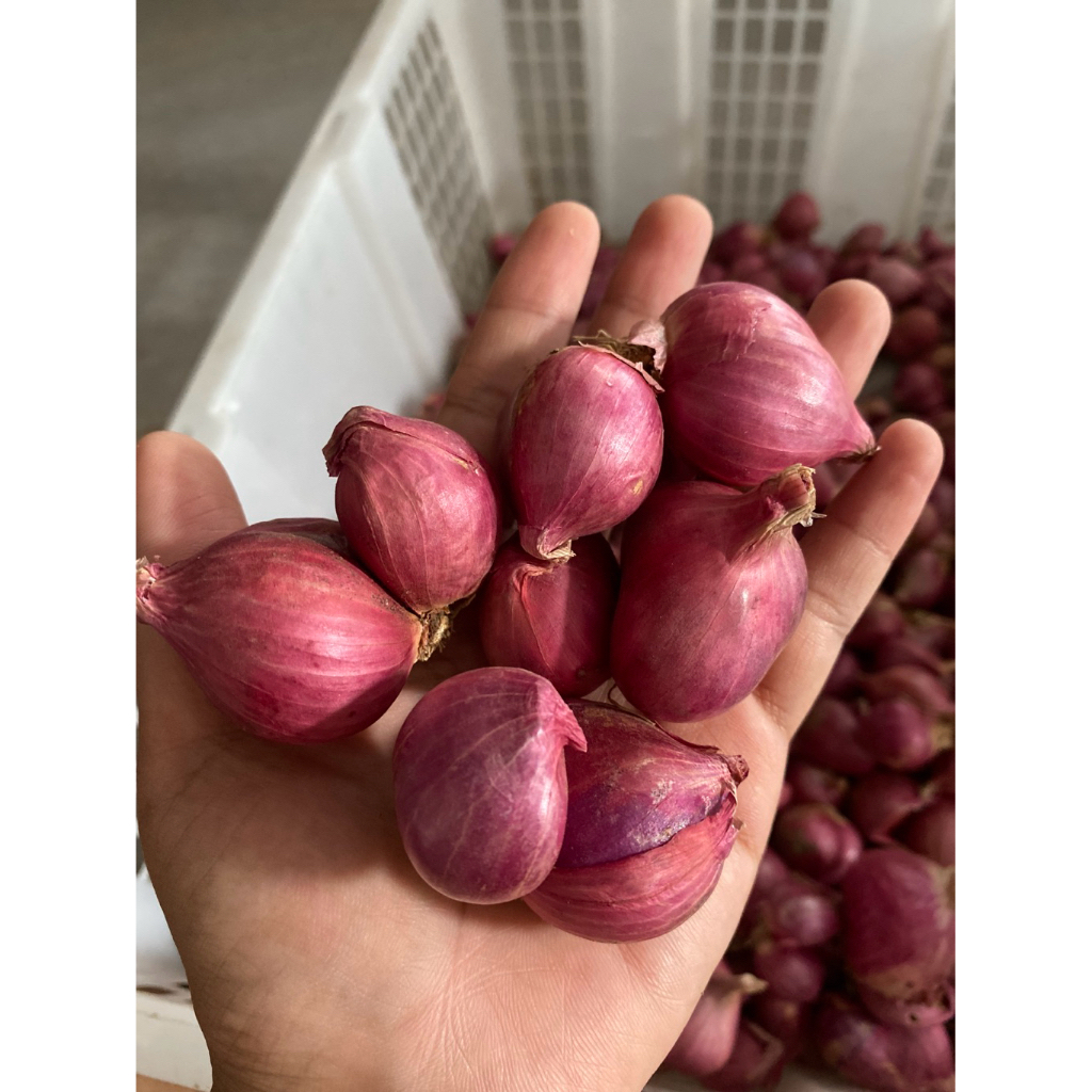 Bawang merah Bima 1kg
