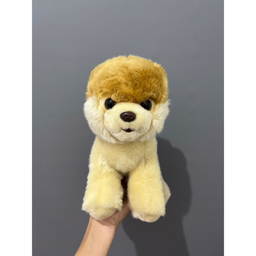 [PL] DOLL | Boneka Binatang / Hewan | Anjing PomPom | Anjing Boo | Classic | GUND - Medium