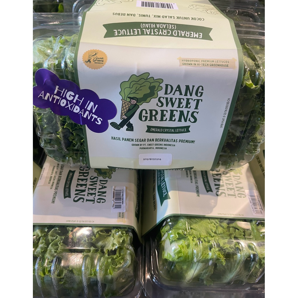 Highland Lettuce Cos Baby / Selada Hijau Fresh / Pack