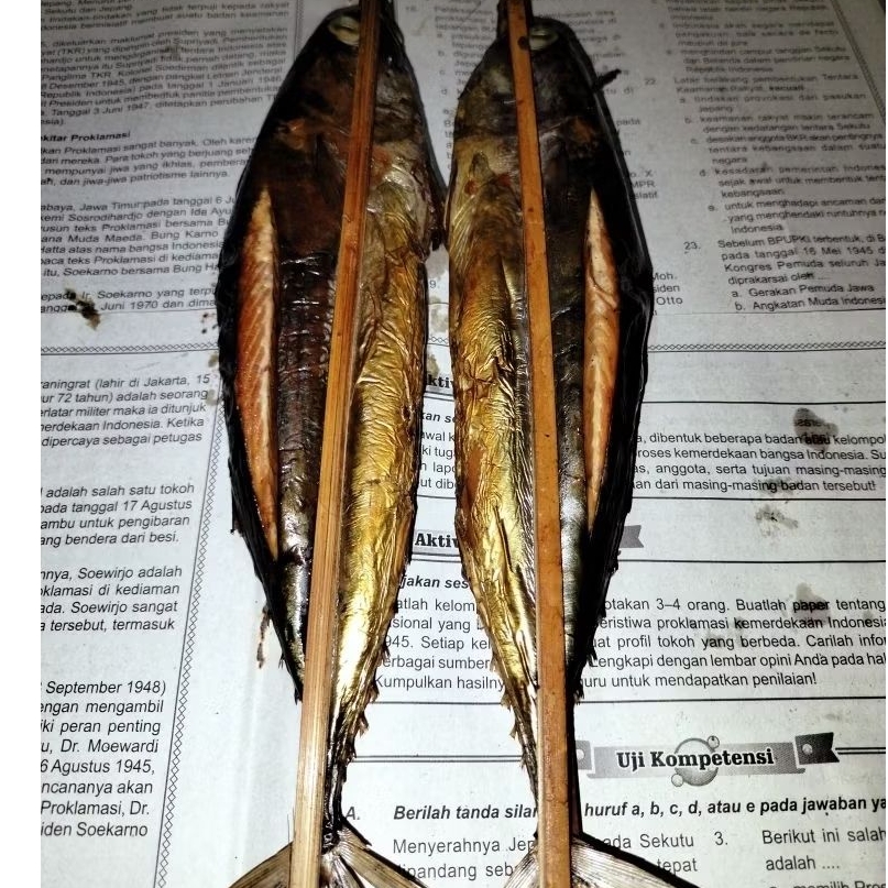 

IKAN ASAP TONGKOL FREES HIGIENIS