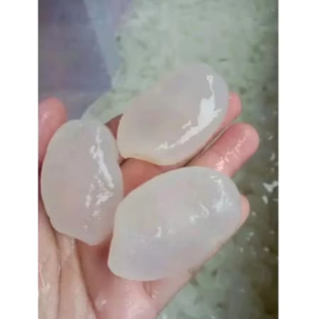 Kolang Kaling Fresh 1kg - Kolang Kaling Jumbo