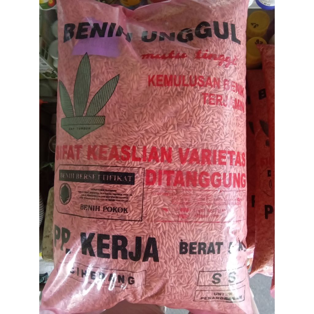 BENIH PADI CIHERANG PP KERJA BOYOLALI EXP 2026