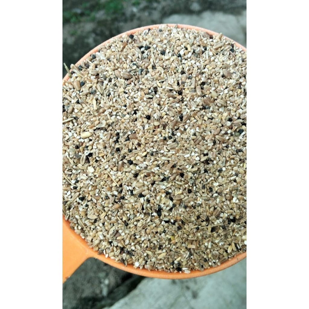 Menir gandum. spek pakan ternak