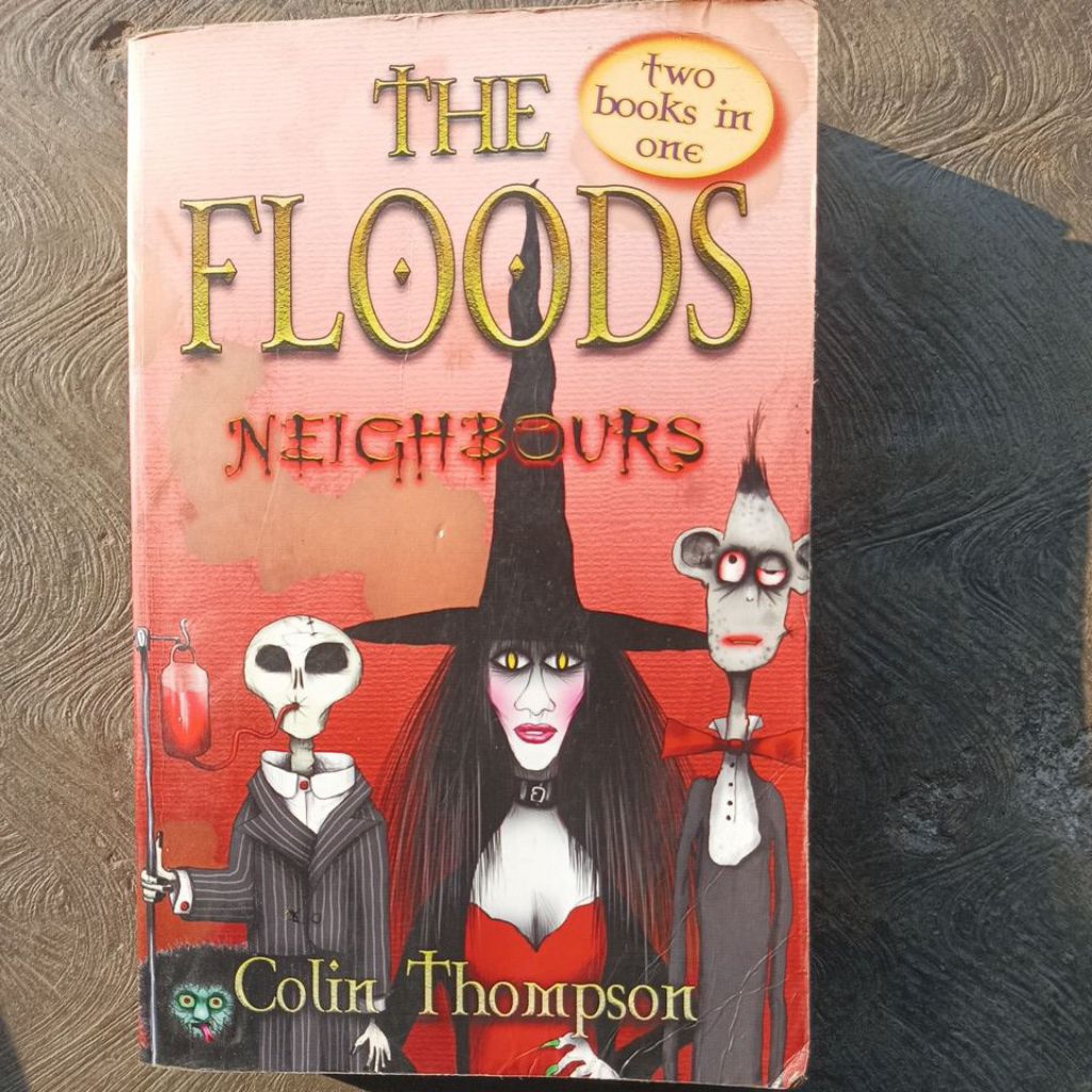 Novel  THE FLOODS NEIGHBOURS COLIN THOMPSON