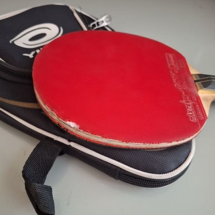 Kayu Bet blade 729 Friendship V5 carbon