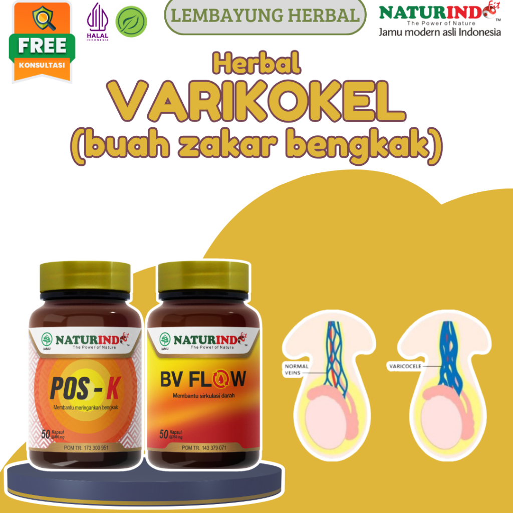 Herbal Varikokel Atasi Turun Berok Turun Peranakan Hernia Varises Buah Zakar Bengkak