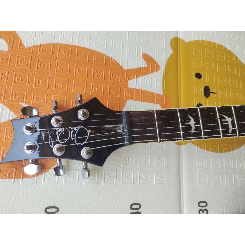 PRS Custom 24 (custom)