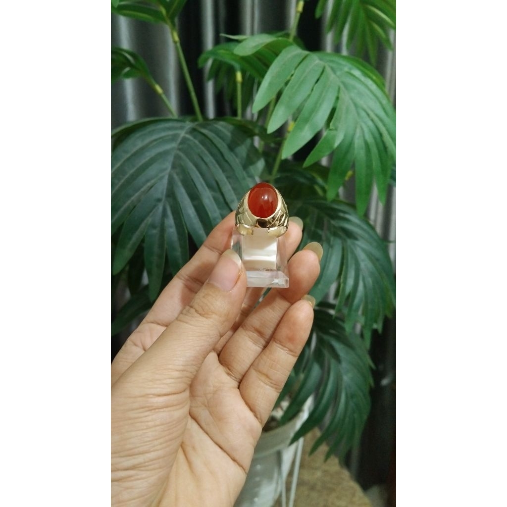 CINCIN BATU CEMPAKA MERAH MODEL BNNGKUS BAHAN KOIN KUNING