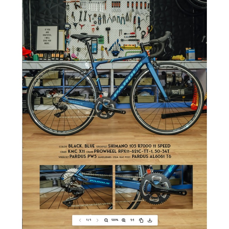 PARDUS ROBIN SPORT BIRU SIZE XS ROADBIKE CARBON MURAH BUKAN POLYGON