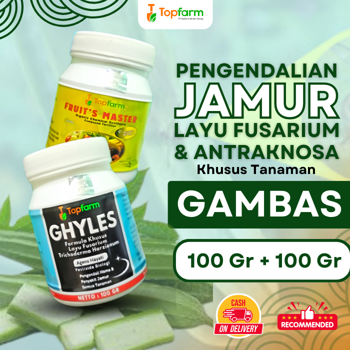 Fungisida Obat Jamur Tanaman Gambas/ Obat Pembasmi Jamur Gambas Oyong/ Obat Pengendali Jamur Gambas 
