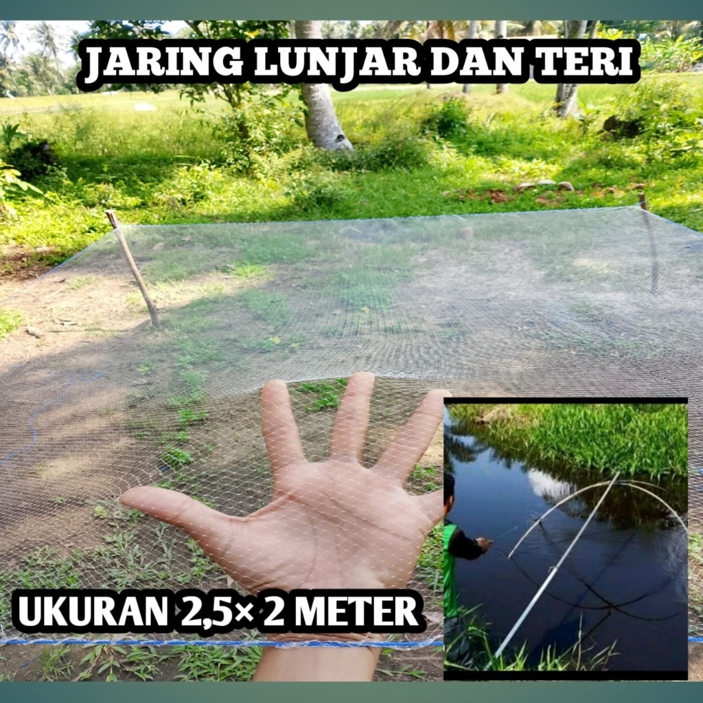 Jaring Teri dan lunjar ukuran 2,5 × 2 meter persegi lubang 3/8 inch branjang, tangkul ikan, Anco,sir