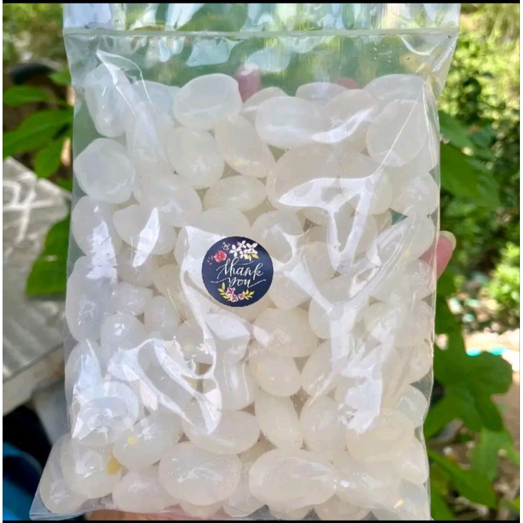 Kolang Kaling Fresh Panenan Sendiri Banyak manfaat