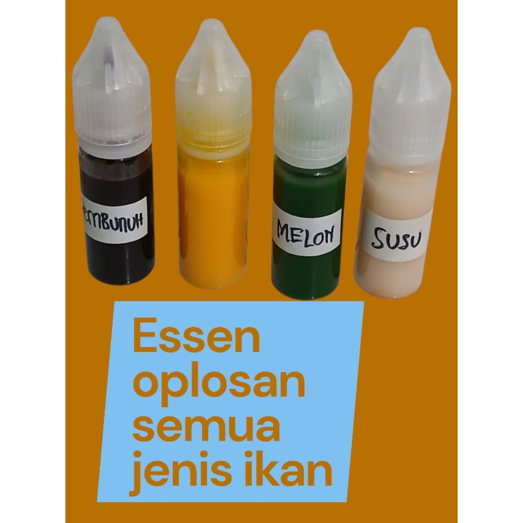 Essen oplosan ikan mas galatama kilo gebrus harian