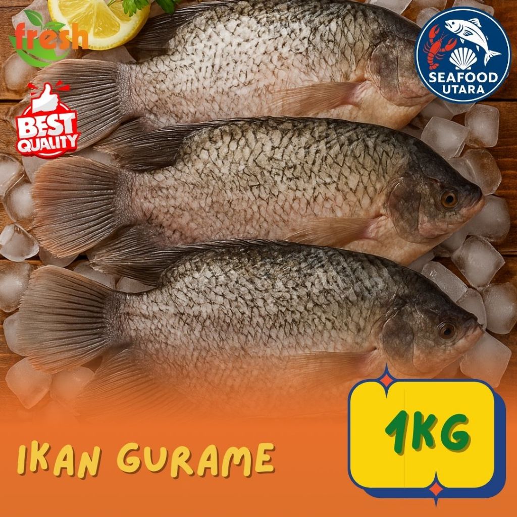 Gurame Segar 1 kg – Ikan Air Tawar Segar, Bersih Siap Masak | Gurame Fresh”