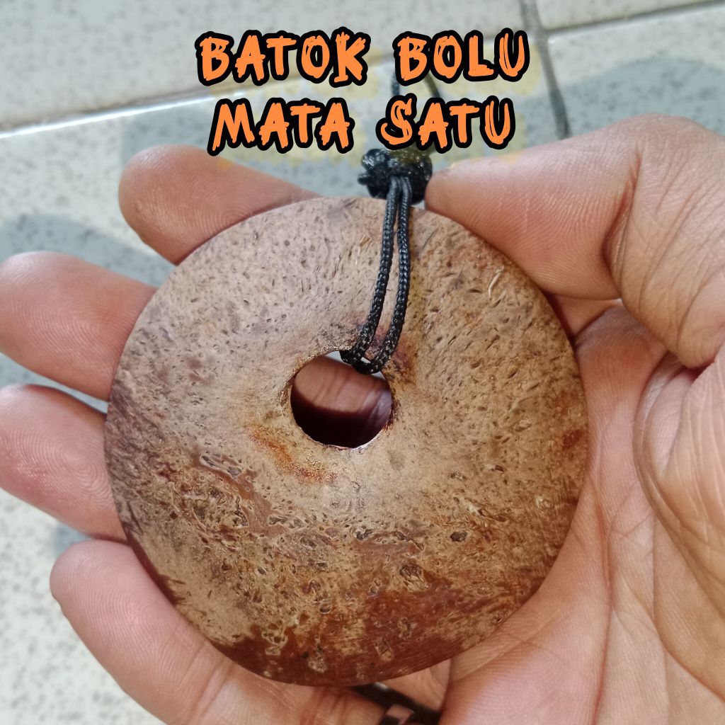 BATOK BOLU_BATOK KELAPA MATA SATU
