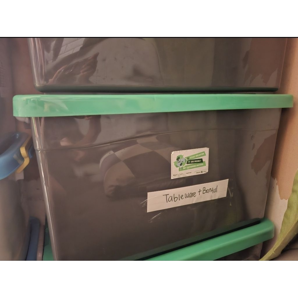 Container Box Green Leaf Tutup Hijau