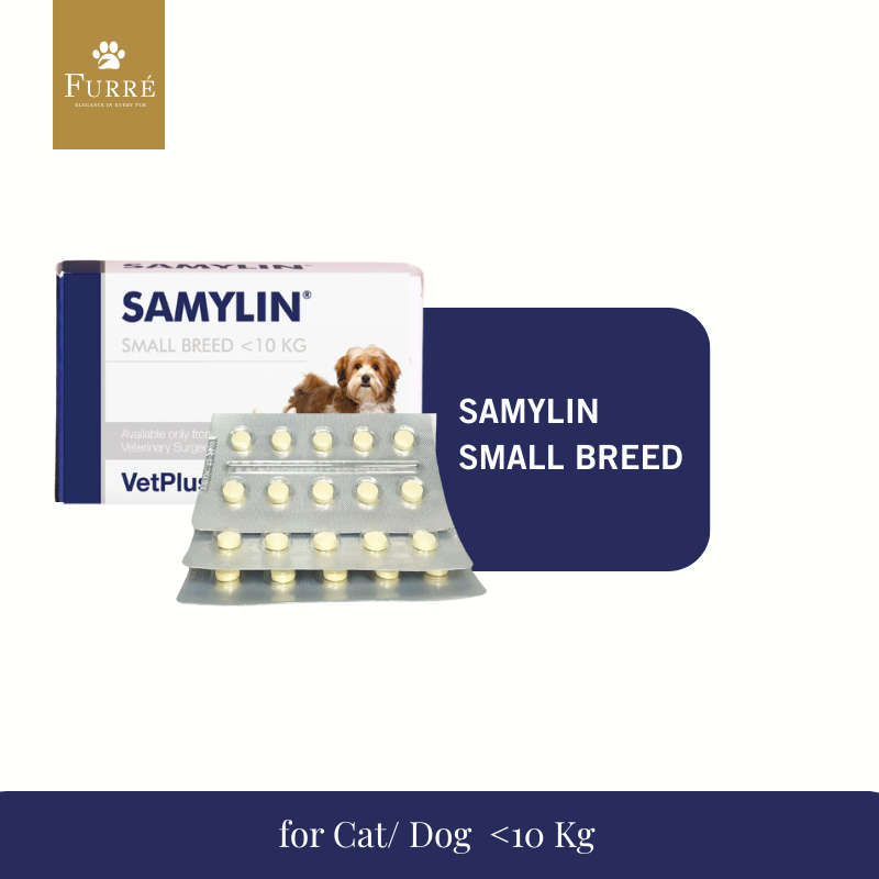 Samylin Small Breed for Dog & Cat - Obat Gangguan Hati (Liver) untuk anjing dan kucing (1 TABLET)