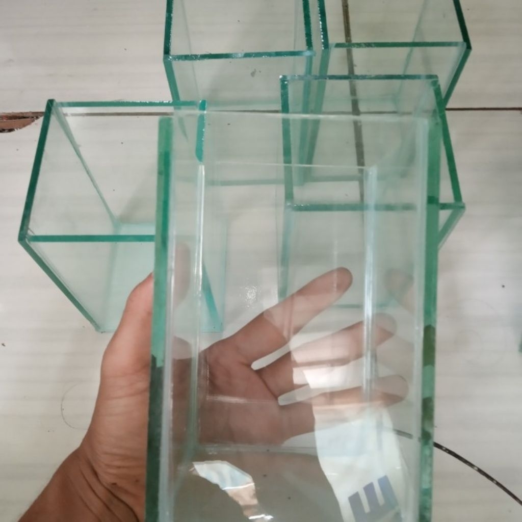 red barongsai male cupcup